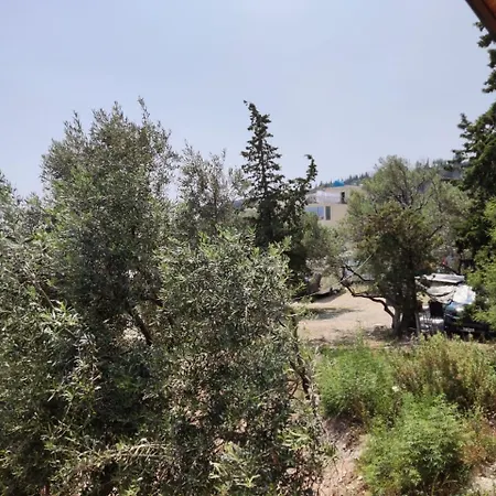 Moskato * هيماري