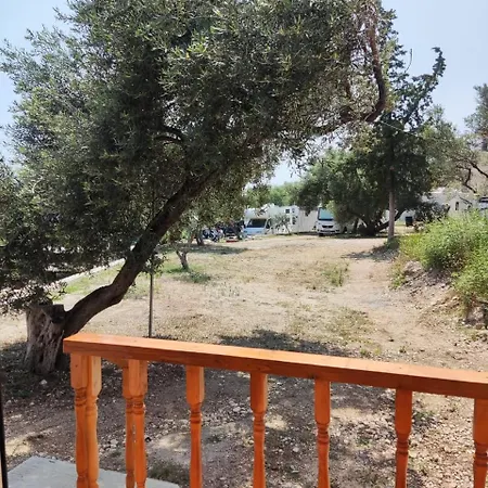 Moskato هيماري